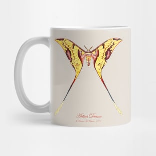 Moth - Malaysian Moon Moth, Actias Maenas Diana Mug